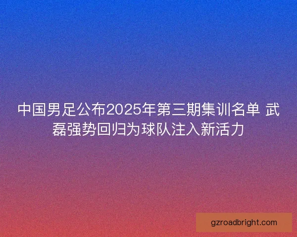 中国男足公布2025年第三期集训名单 武磊强势回归为球队注入新活力 中国男足公布2025年第三期集训名单 武磊强势回归为球队注入新活力