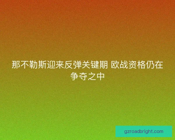 那不勒斯迎来反弹关键期 欧战资格仍在争夺之中 那不勒斯迎来反弹关键期 欧战资格仍在争夺之中