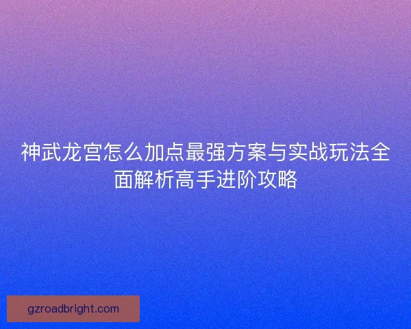 神武龙宫怎么加点最强方案与实战玩法全面解析高手进阶攻略