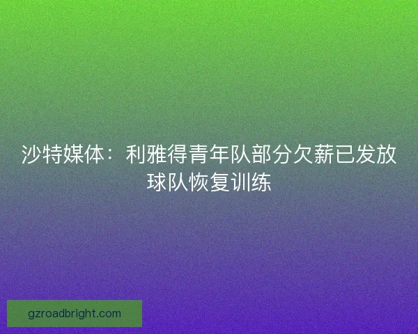 沙特媒体:利雅得青年队部分欠薪已发放球队恢复训练 沙特媒体:利雅得青年队部分欠薪已发放球队恢复训练