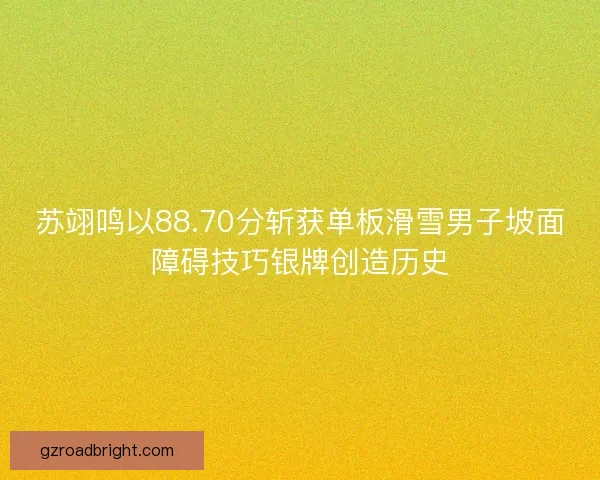 苏翊鸣以88.70分斩获单板滑雪男子坡面障碍技巧银牌创造历史 苏翊鸣以88.70分斩获单板滑雪男子坡面障碍技巧银牌创造历史